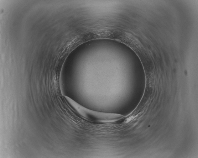 X0000073711298200608031229