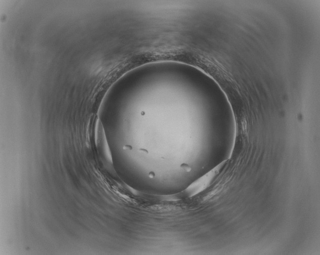 X0000073711300200608031229