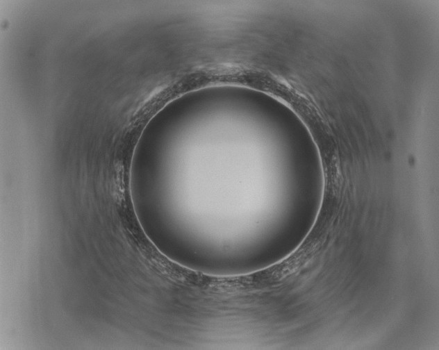 X0000073711301200608031229