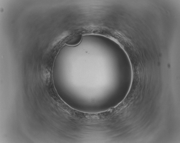 X0000073711302200608031229