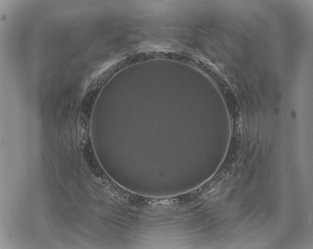 X0000073711303200608031229