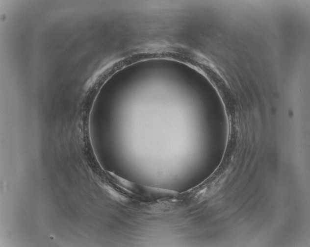 X0000073711304200608031229