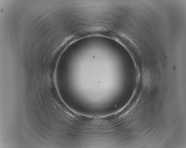 X0000073711305200608031229