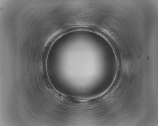 X0000073711307200608031229