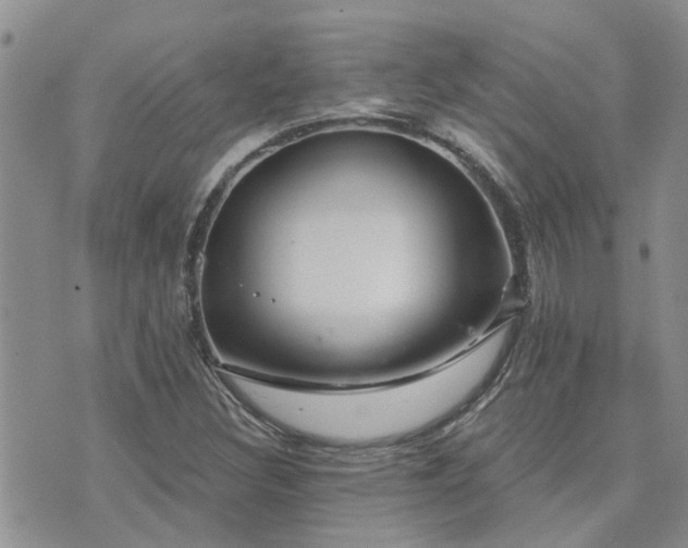 X0000073711308200608031229