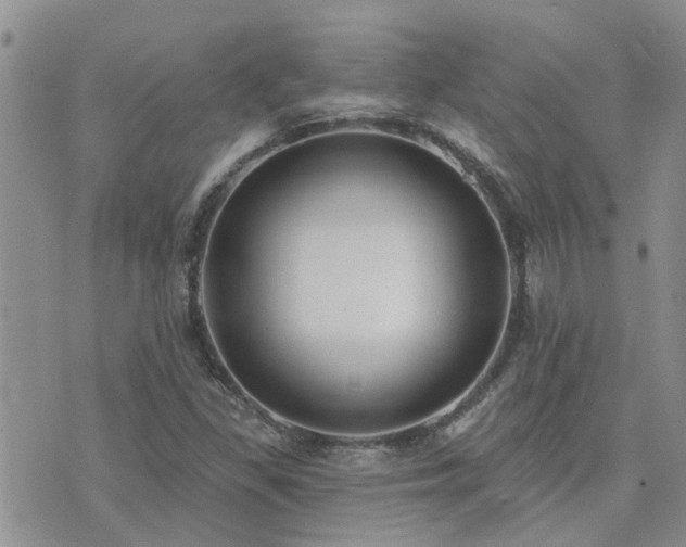 X0000073711309200608031229