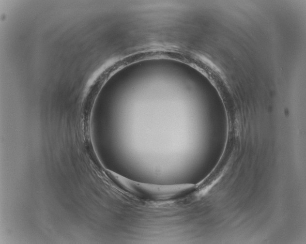 X0000073711310200608031229