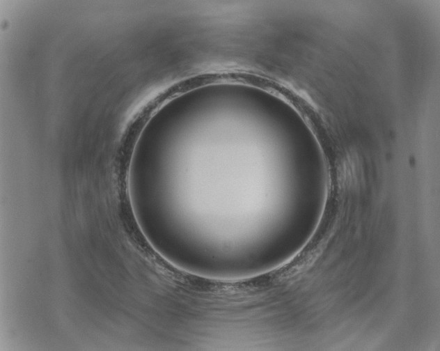 X0000073711311200608031229