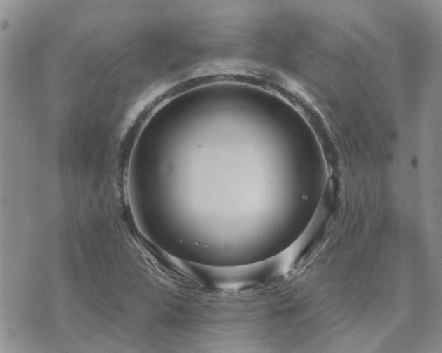 X0000073711312200608031229