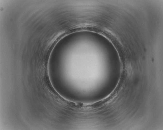 X0000073711313200608031229