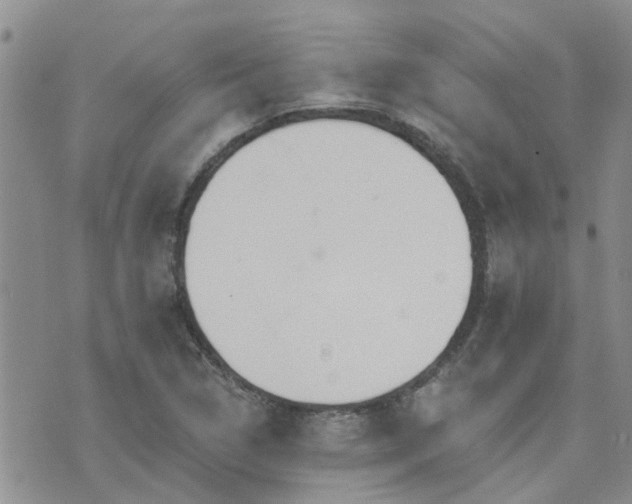 X0000073711314200608031229