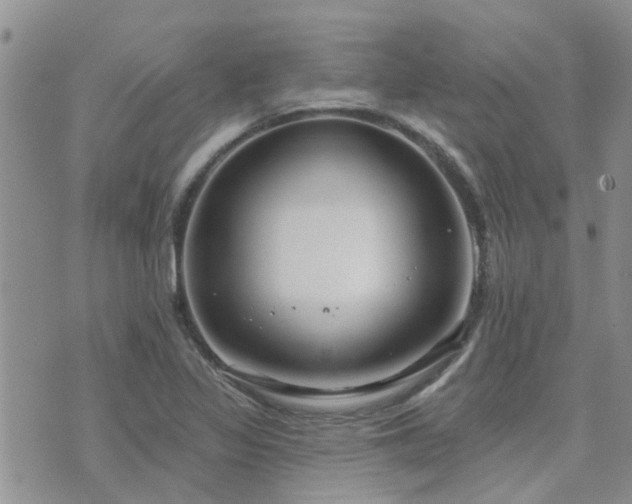 X0000073711317200608031229