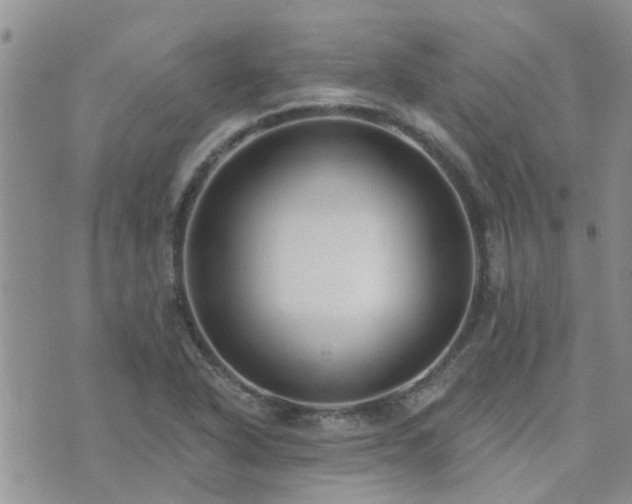 X0000073711318200608031229