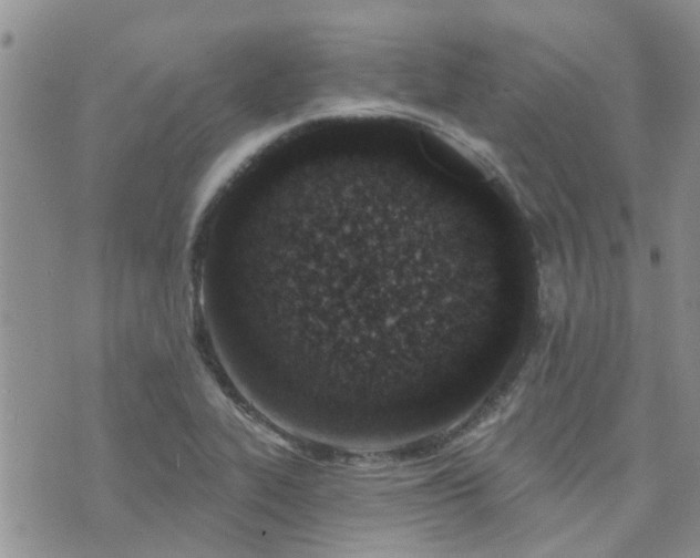 X0000073711319200608031230