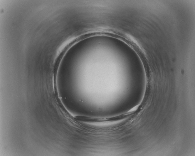 X0000073711320200608031230