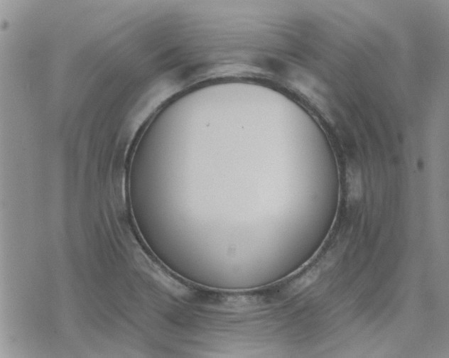 X0000073711322200608031230