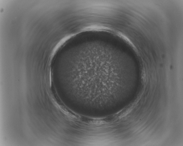 X0000073711323200608031230