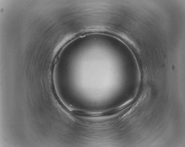 X0000073711325200608031230