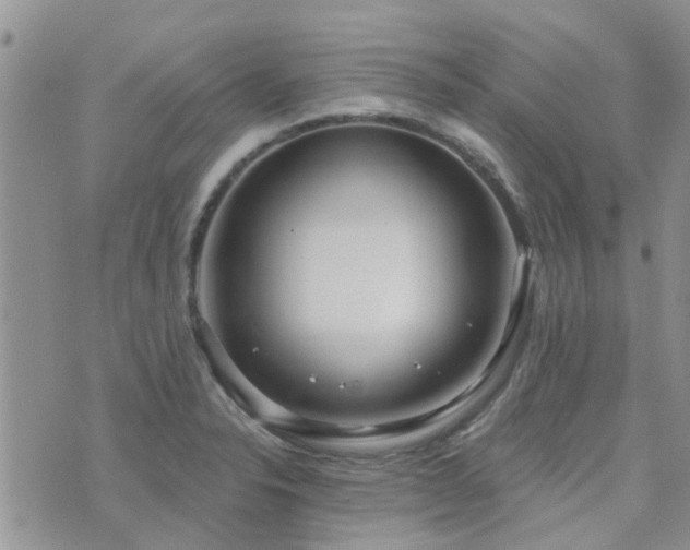 X0000073711326200608031230