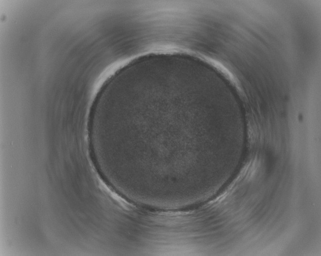 X0000073711327200608031230