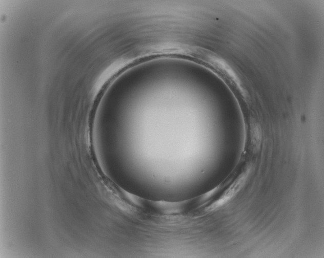 X0000073711328200608031230