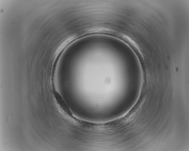 X0000073711330200608031230