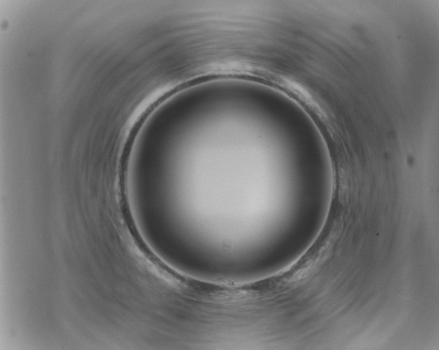 X0000073711331200608031230