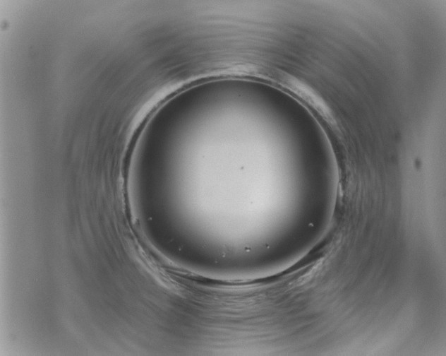 X0000073711332200608031230