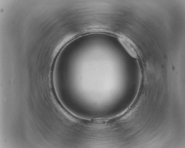 X0000073711333200608031230