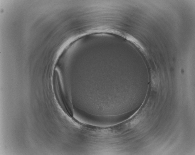 X0000073711334200608031230