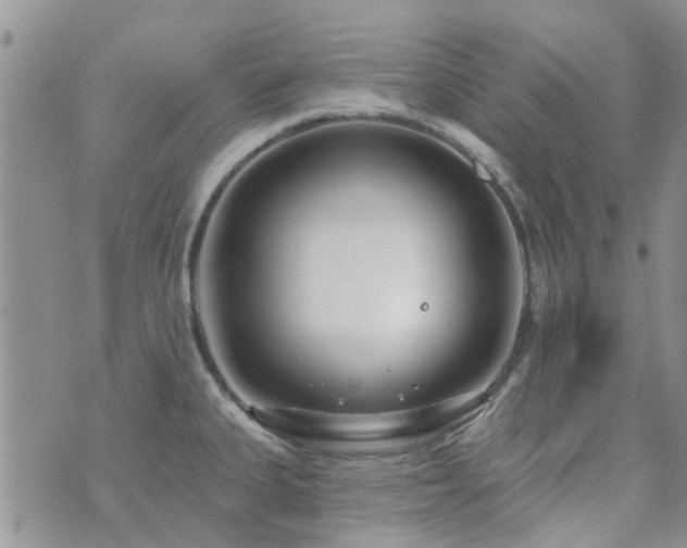 X0000073711335200608031230