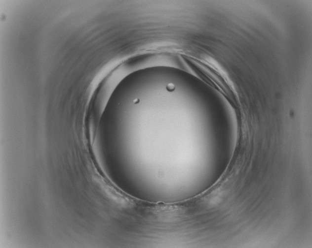 X0000073711336200608031230