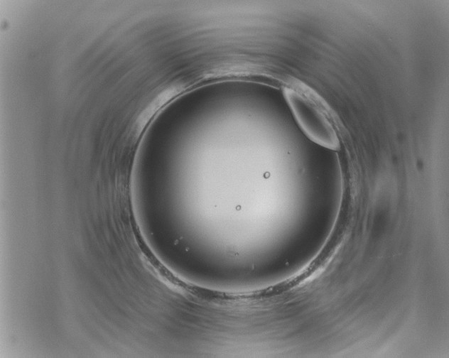 X0000073711337200608031230