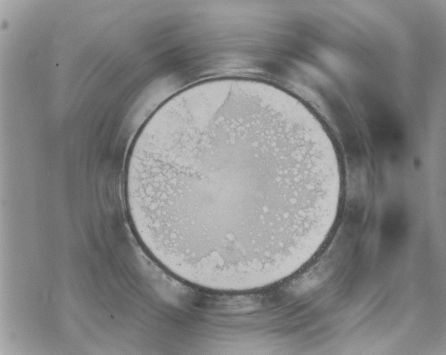 X0000073711338200608031230