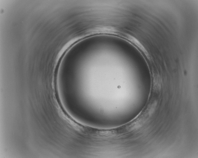 X0000073711339200608031230