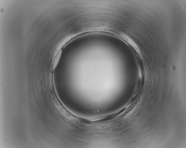 X0000073711340200608031230