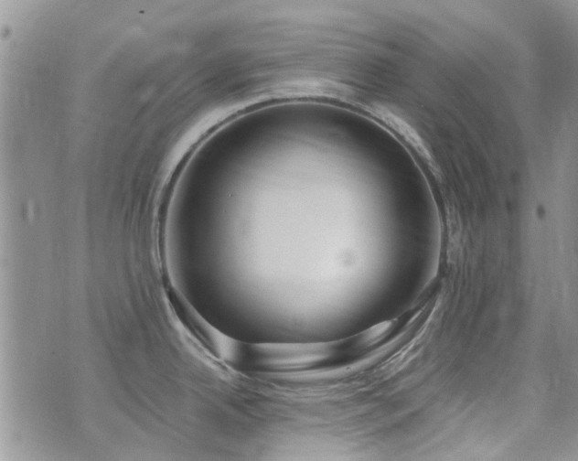 X0000073711342200608031230