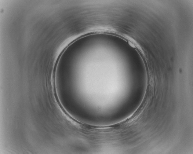 X0000073711343200608031230