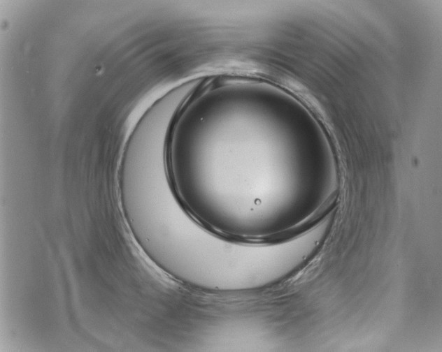 X0000073711344200608031230