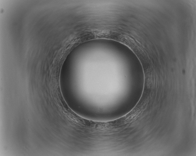 X0000073711345200608031229