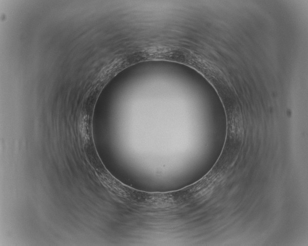 X0000073711346200608031229