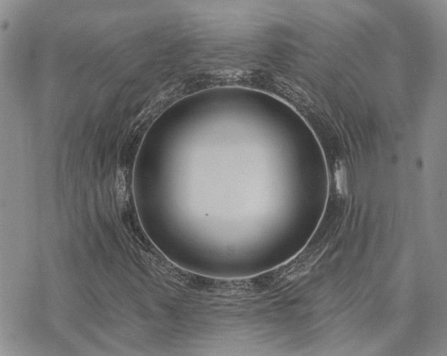 X0000073711347200608031229