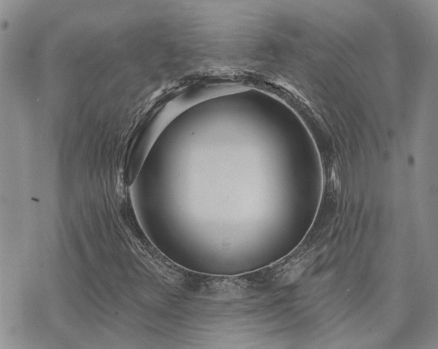 X0000073711348200608031229