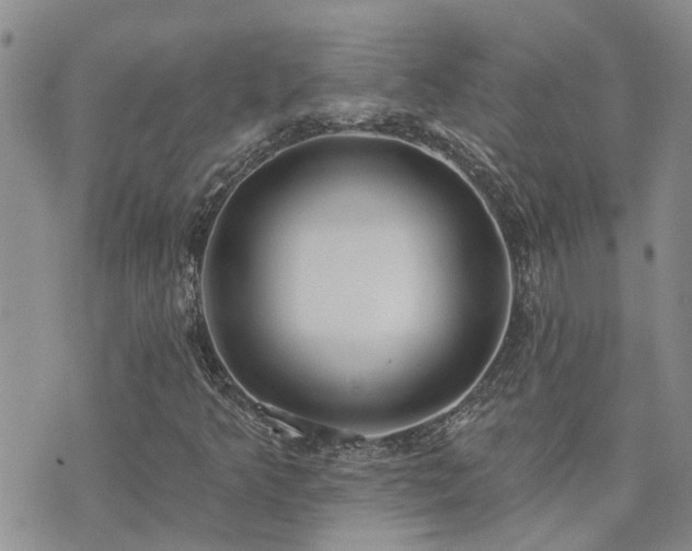 X0000073711349200608031229