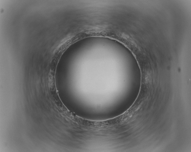 X0000073711350200608031229