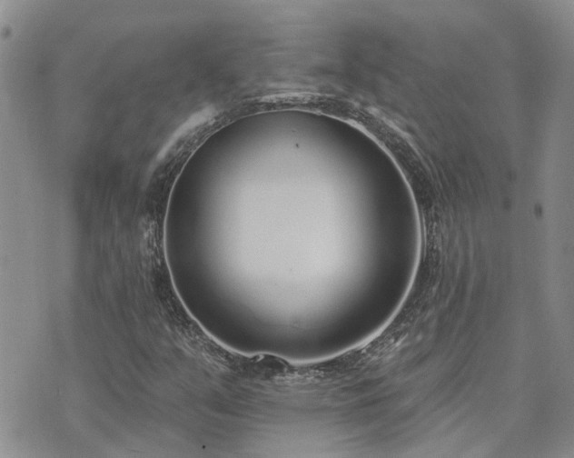 X0000073711351200608031229