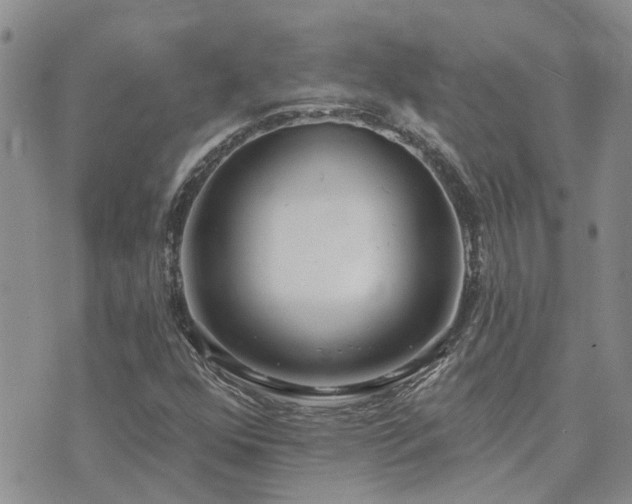 X0000073711352200608031229