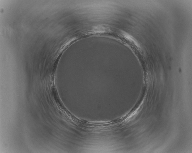 X0000073711353200608031229