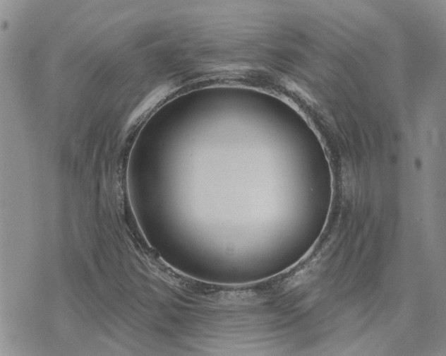 X0000073711354200608031229