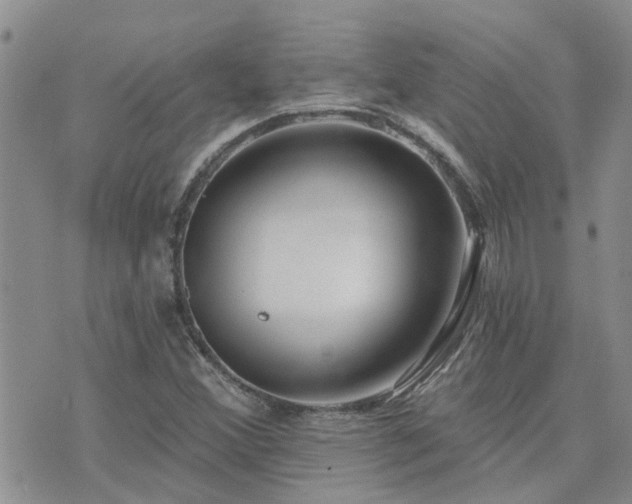 X0000073711356200608031229